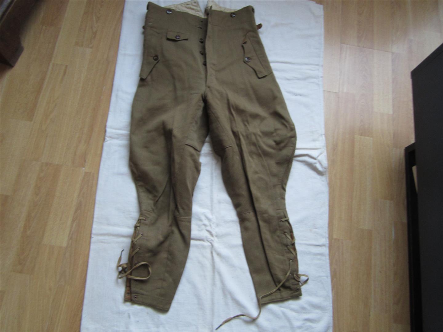 WW2 German NSDAP Breeches